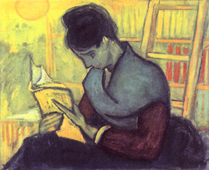 The novel reader